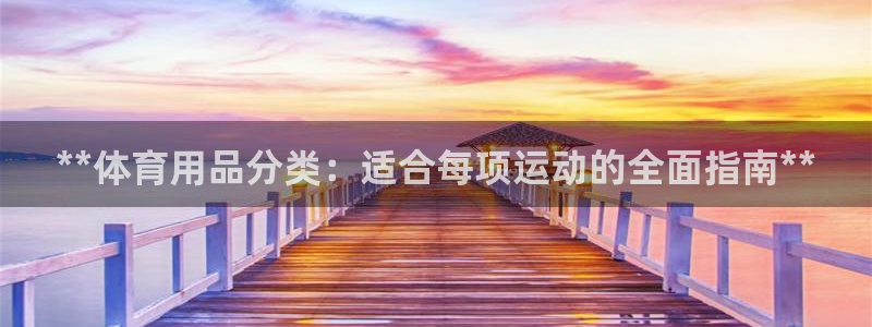 欧陆娱乐平台官网：**体育用品分类：适合每项运动的全