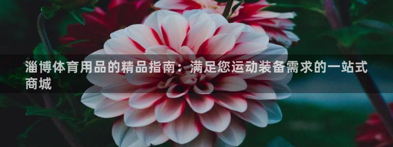 欧陆娱乐中国：淄博体育用品的精品指南：满足您运动装备