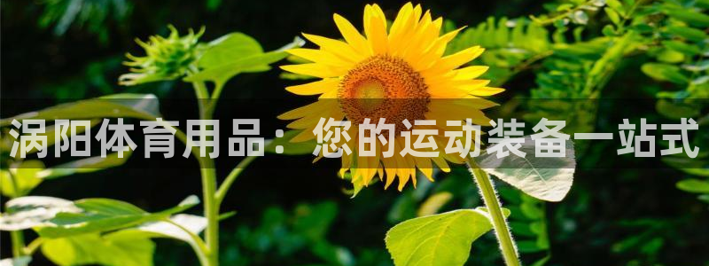 欧陆娱乐是正规平台吗安全吗可信吗是真的吗：涡阳体育用