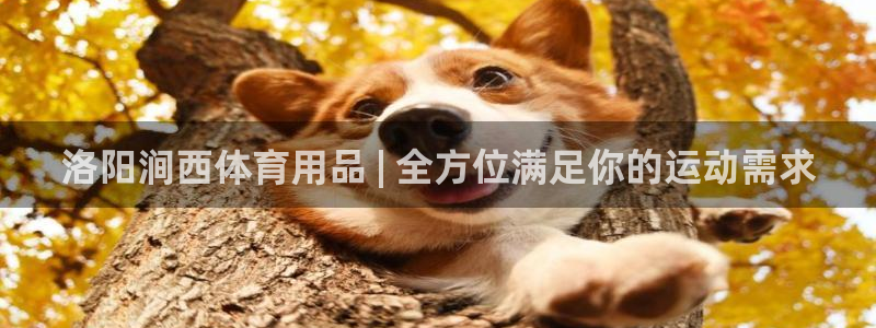 欧陆娱乐官方网站入口：洛阳涧西体育用品 | 全方位满