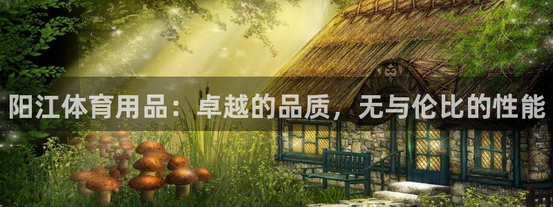 欧陆娱乐登录注册平台下载：阳江体育用品：卓越的品质，