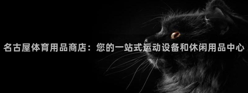 欧陆娱乐公司产品介绍图片：名古屋体育用品商店：您的一