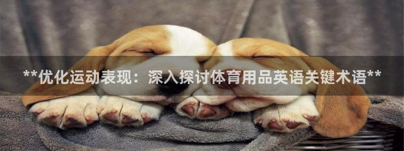 欧陆娱乐官网网址是多少：**优化运动表现：深入探讨体