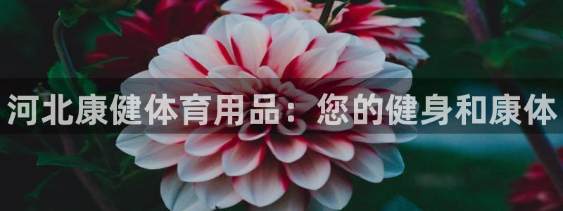 欧陆娱乐平台登录不上怎么办：河北康健体育用品：您的健