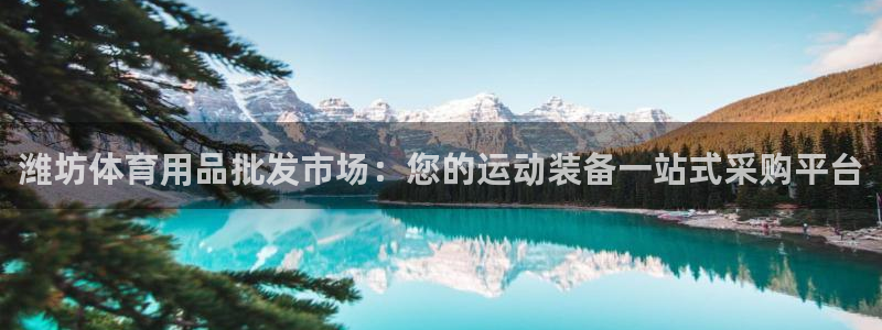 欧陆娱乐怎么注册账号登录：潍坊体育用品批发市场：您的