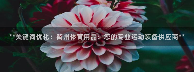 欧陆娱乐平台咋样啊：**关键词优化：衢州体育用品：您
