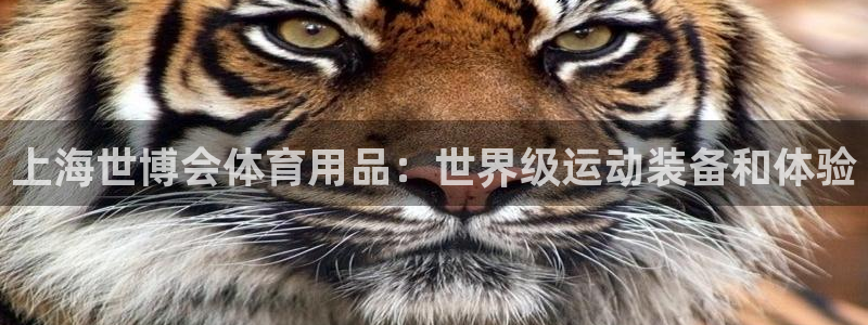 欧陆娱乐官方：上海世博会体育用品：世界级运动装备和体