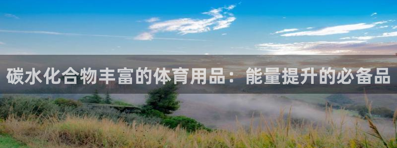 欧陆娱乐平台登录不上怎么办：碳水化合物丰富的体育用品