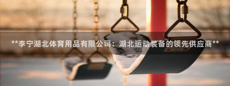欧陆娱乐能赚钱吗：**李宁湖北体育用品有限公司：湖北