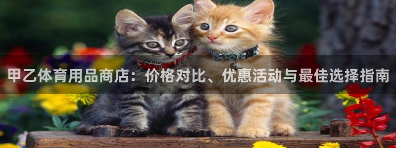 欧陆娱乐平台登陆地址是什么：甲乙体育用品商店：价格对