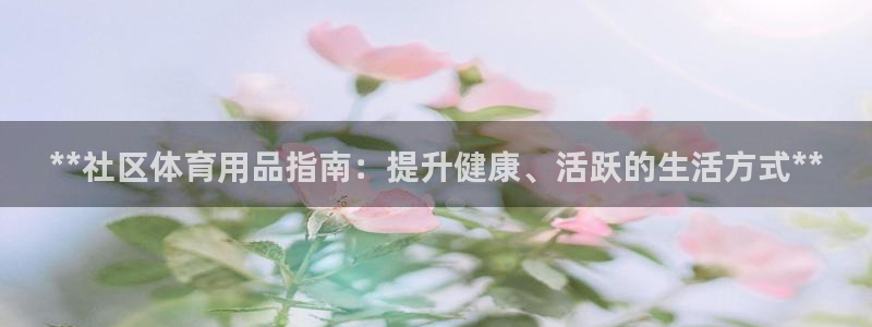 欧陆娱乐官网注册中心下载：**社区体育用品指南：提升