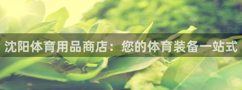 欧陆娱乐测速：沈阳体育用品商店：您的体育装备一站式