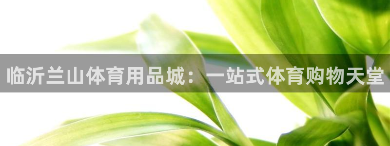 欧陆娱乐登录官网网址：临沂兰山体育用品城：一站式体育