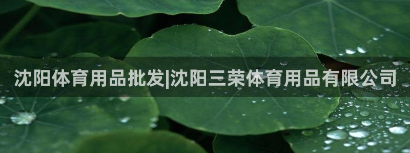 欧陆娱乐怎么注册会员账号：沈阳体育用品批发|沈阳三荣