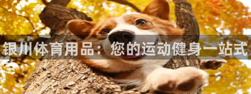 欧陆娱乐登陆平台官网：银川体育用品：您的运动健身一站
