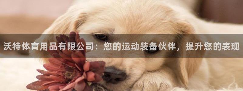欧陆娱乐分分彩：沃特体育用品有限公司：您的运动装备伙