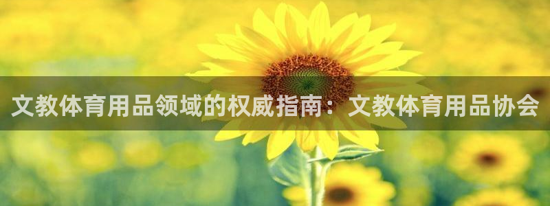 欧陆娱乐登录注册平台有哪些：文教体育用品领域的权威指