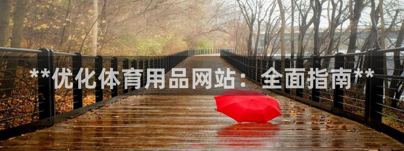 欧陆注册码：**优化体育用品网站：全面指南**