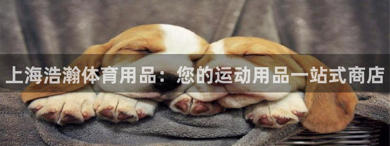 欧陆娱乐登录注册平台官网：上海浩瀚体育用品：您的运动