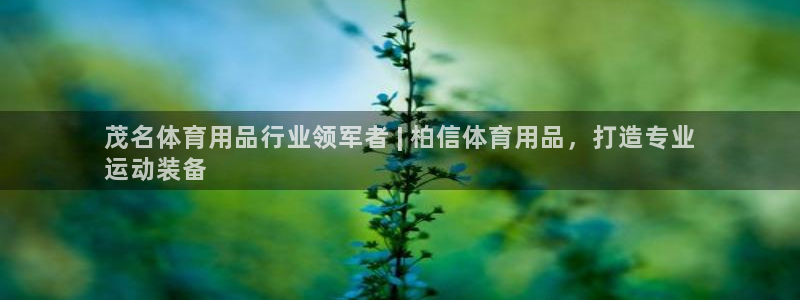欧陆娱乐代理多少个点位啊：茂名体育用品行业领军者 |