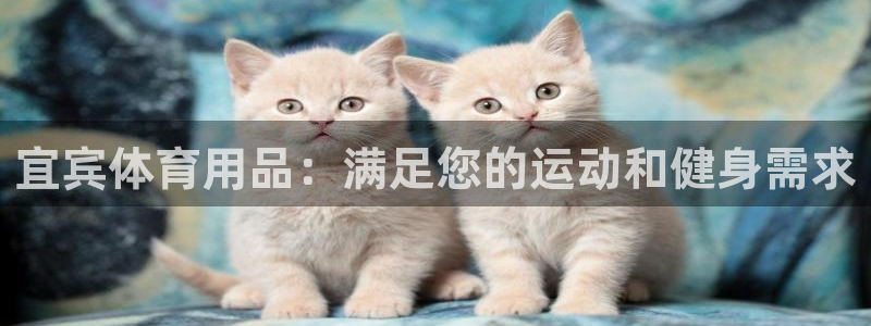 欧陆娱乐代理 贴吧怎么样：宜宾体育用品：满足您的运动