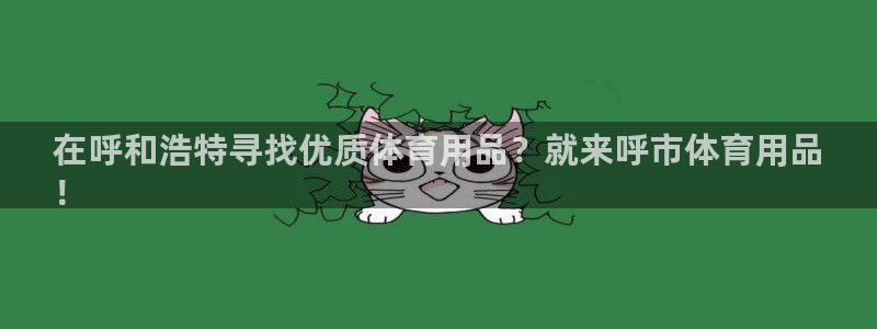 欧陆娱乐挂机怎么玩游戏：在呼和浩特寻找优质体育用品？