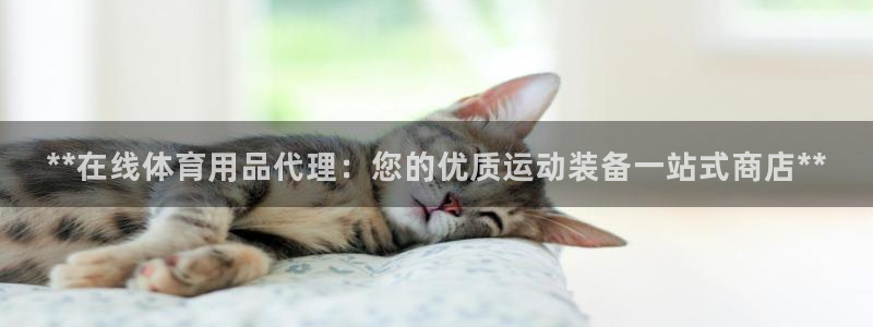 欧陆娱乐招商主管：**在线体育用品代理：您的优质运动