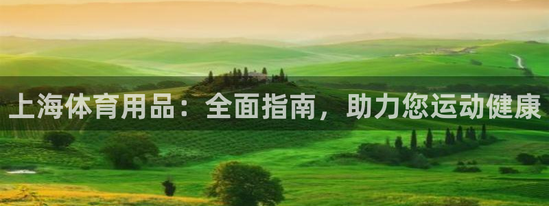 欧陆娱乐登陆平台：上海体育用品：全面指南，助力您运动