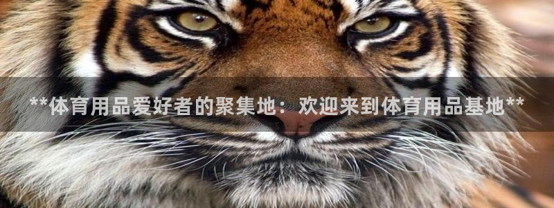 重庆欧陆娱乐有限公司地址：**体育用品爱好者的聚集地
