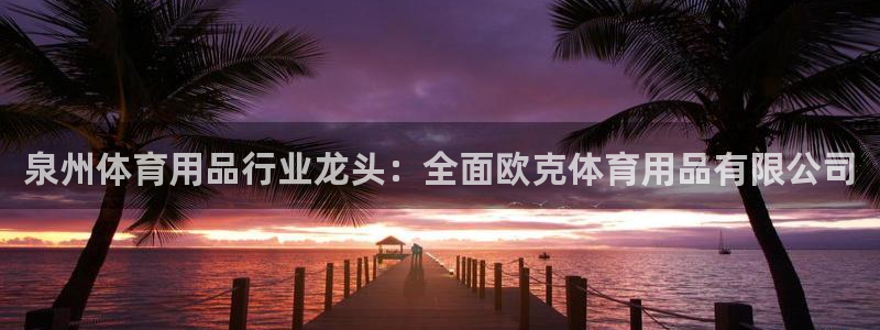 重庆欧陆娱乐有限公司怎么样：泉州体育用品行业龙头：全
