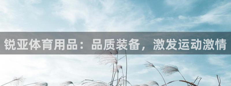 欧陆娱乐信誉吗：锐亚体育用品：品质装备，激发运动激情