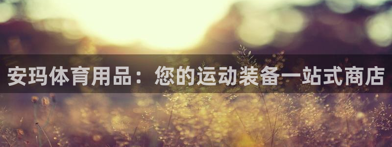 欧陆娱乐官网：安玛体育用品：您的运动装备一站式商店