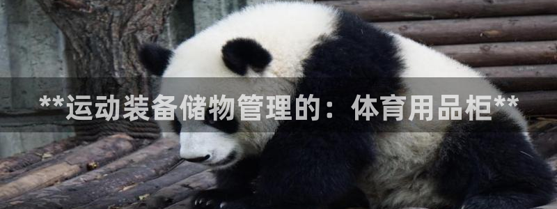 欧陆娱乐app打不开怎么回事儿：**运动装备储物管理