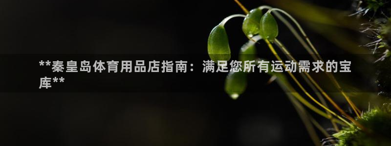 欧陆娱乐登录平台：**秦皇岛体育用品店指南：满足您所