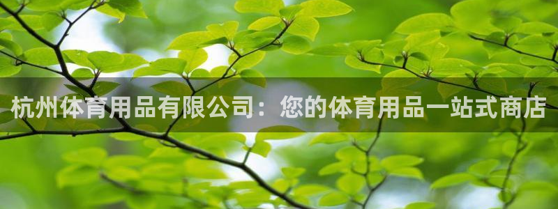 欧陆娱乐登录测速怎么关闭：杭州体育用品有限公司：您的