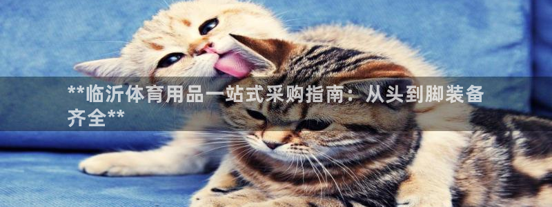 重庆欧陆娱乐有限公司怎么样：**临沂体育用品一站式采
