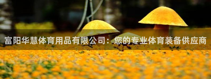 欧陆娱乐计划预测软件有哪些：富阳华慧体育用品有限公司