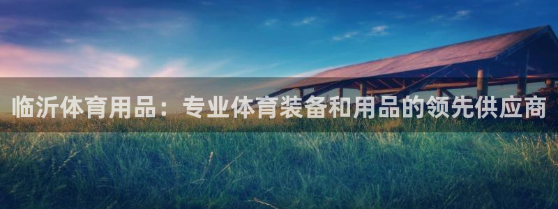 欧陆娱乐是正规平台吗安全吗可信吗：临沂体育用品：专业