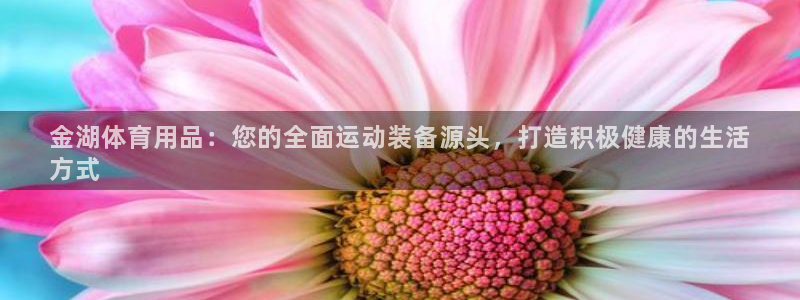 欧陆娱乐平台登陆地址在哪