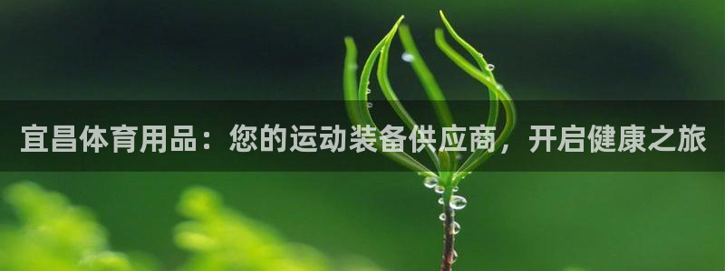 欧陆娱乐总代：宜昌体育用品：您的运动装备供应商，开启
