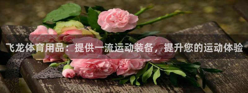 欧陆娱乐登陆平台下载：飞龙体育用品：提供一流运动装备