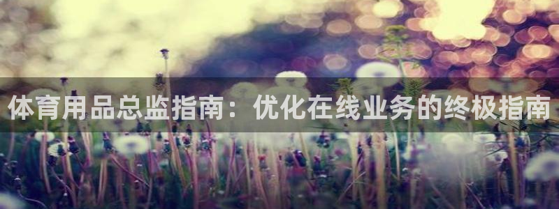 欧陆娱乐欧陆主管：体育用品总监指南：优化在线业务的终