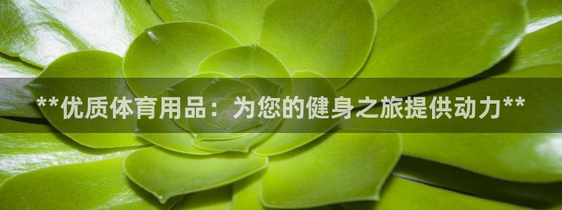 欧陆娱乐平台优势：**优质体育用品：为您的健身之旅提
