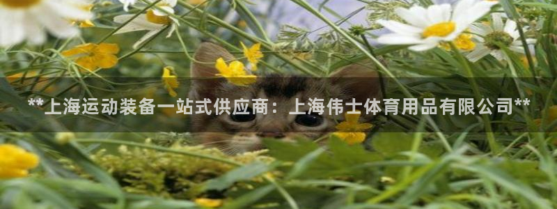 欧陆娱乐是正规平台吗安全吗可靠吗：**上海运动装备一