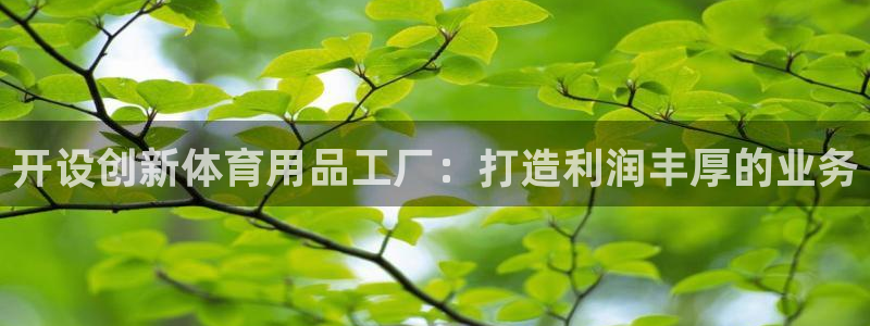 欧陆娱乐欧陆主管：开设创新体育用品工厂：打造利润丰厚