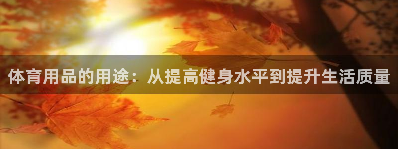 欧陆娱乐里面怎么看打排五：体育用品的用途：从提高健身