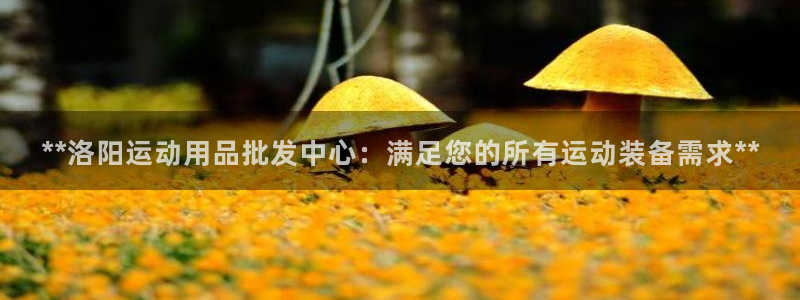 欧陆娱乐安全吗：**洛阳运动用品批发中心：满足您的所