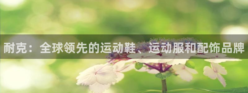 欧陆娱乐app攻略下载：耐克：全球领先的运动鞋、运动