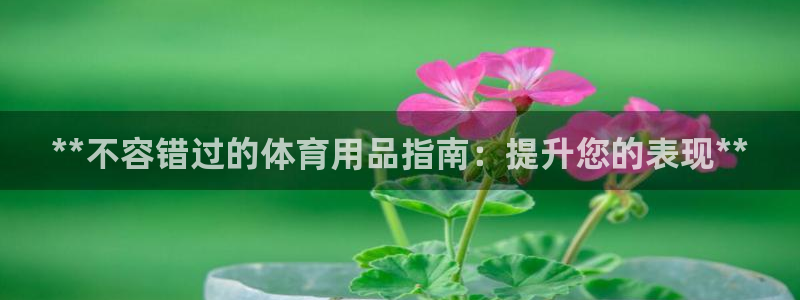 欧陆娱乐代理 贴吧官网：**不容错过的体育用品指南：