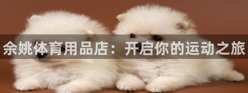 重庆欧陆娱乐有限公司怎么样：余姚体育用品店：开启你的